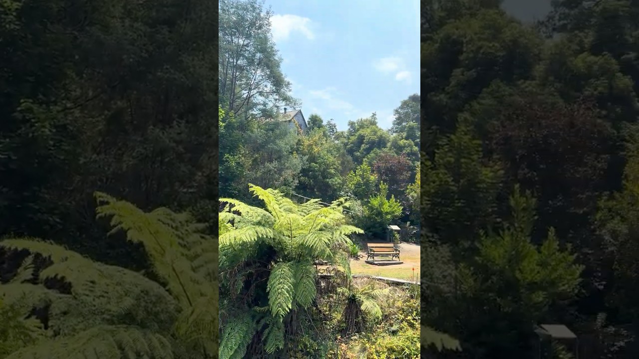 Walhalla is steeped in sun and natural beauty 😍 (more info in description)