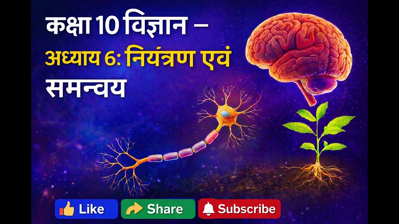 कक्षा 10 विज्ञान | अध्याय 6: नियंत्रण एवं समन्वय