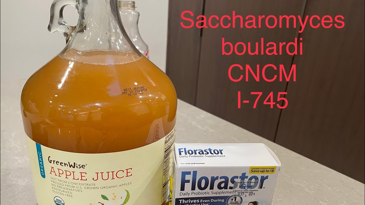 Saccharomyces boulardii CNCM 1-745