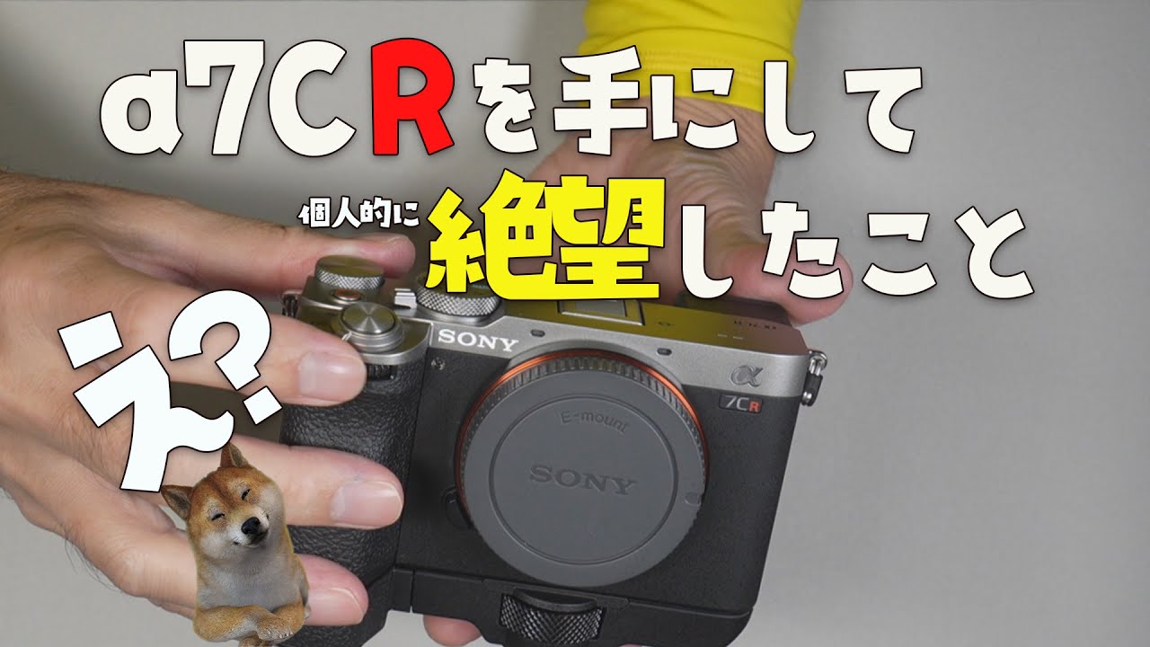 【散財】買って初めてわかったこと【a7CR】
