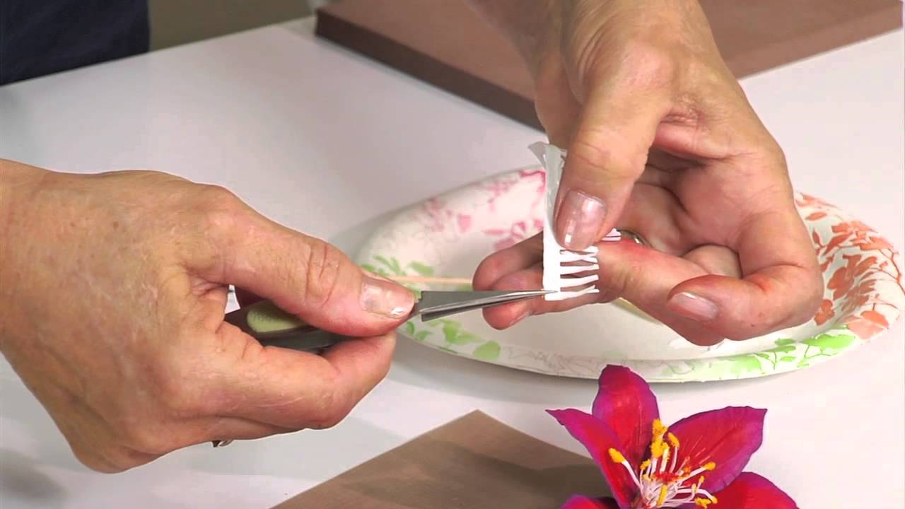 Designing in Susan's Garden with Sizzix Thinlits Clematis Flower Set