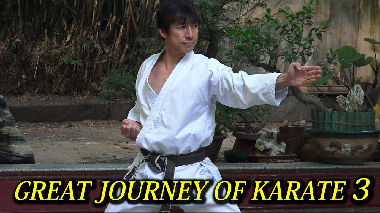 Karate meets Kung-fu in Shaolin Temple 