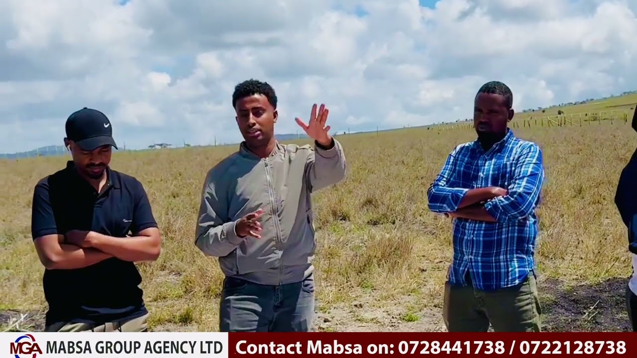 Phase 39 commercial plots 