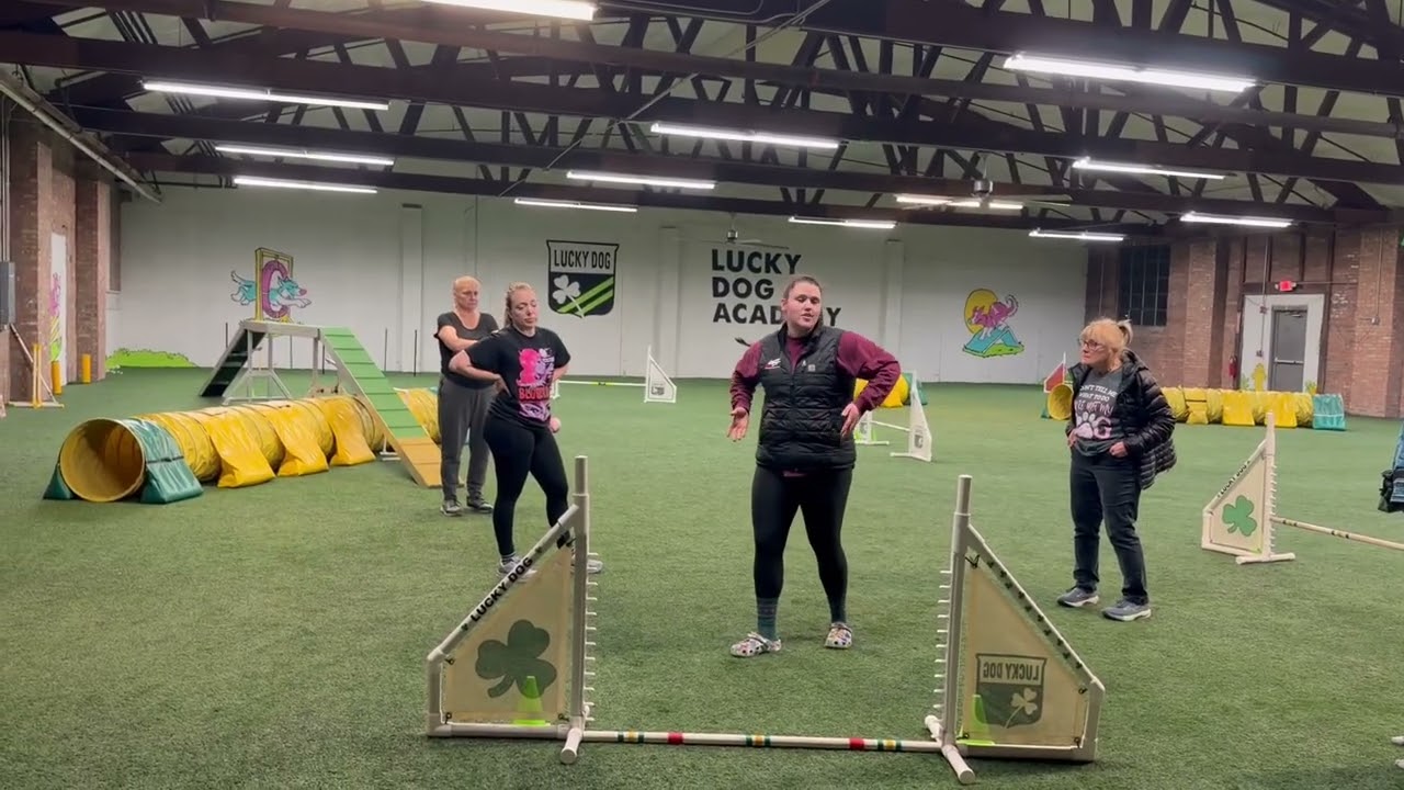 Rear Cross Mechanics!