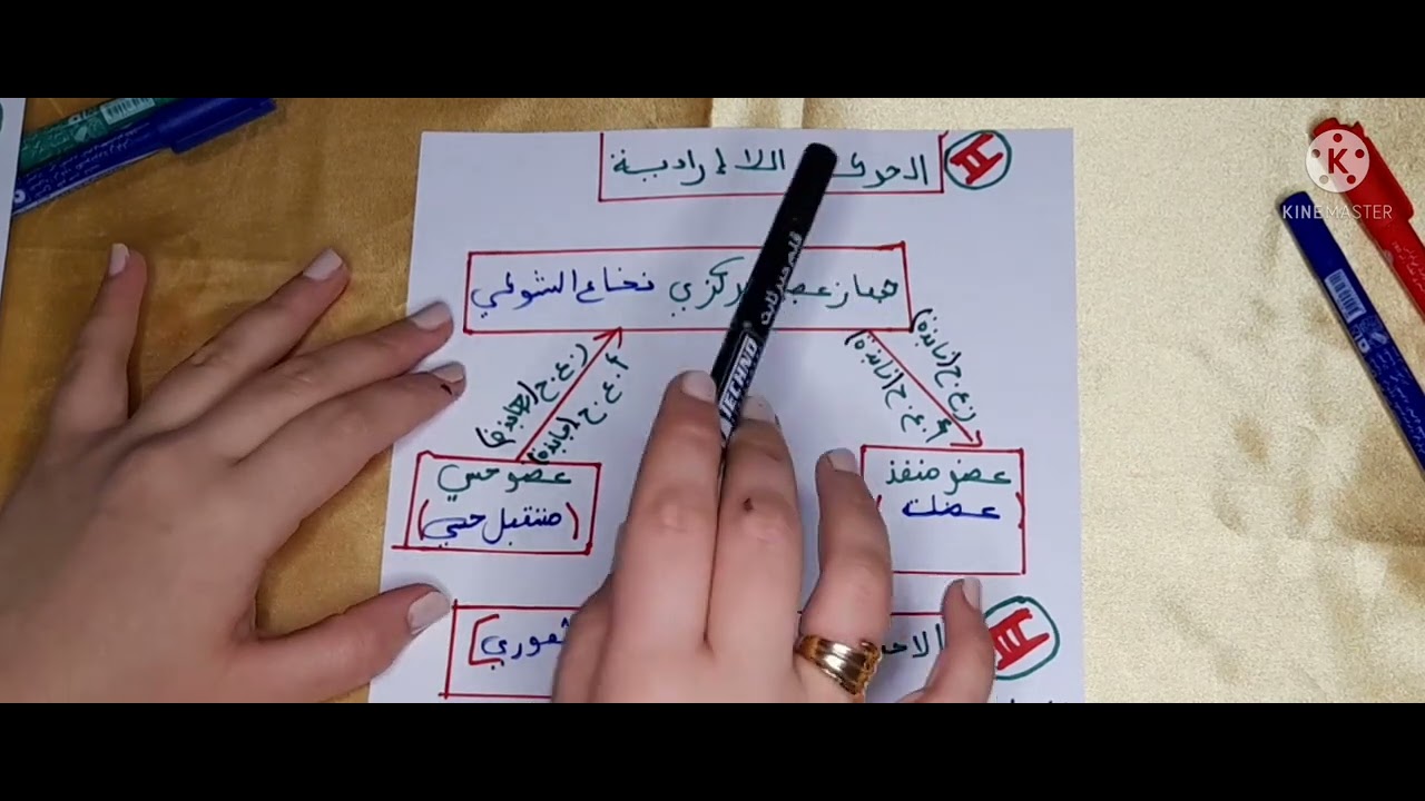 مخطط الحركة الارادية و الحركة اللارادية والحس الشعوري للسنة رابعة متوسط