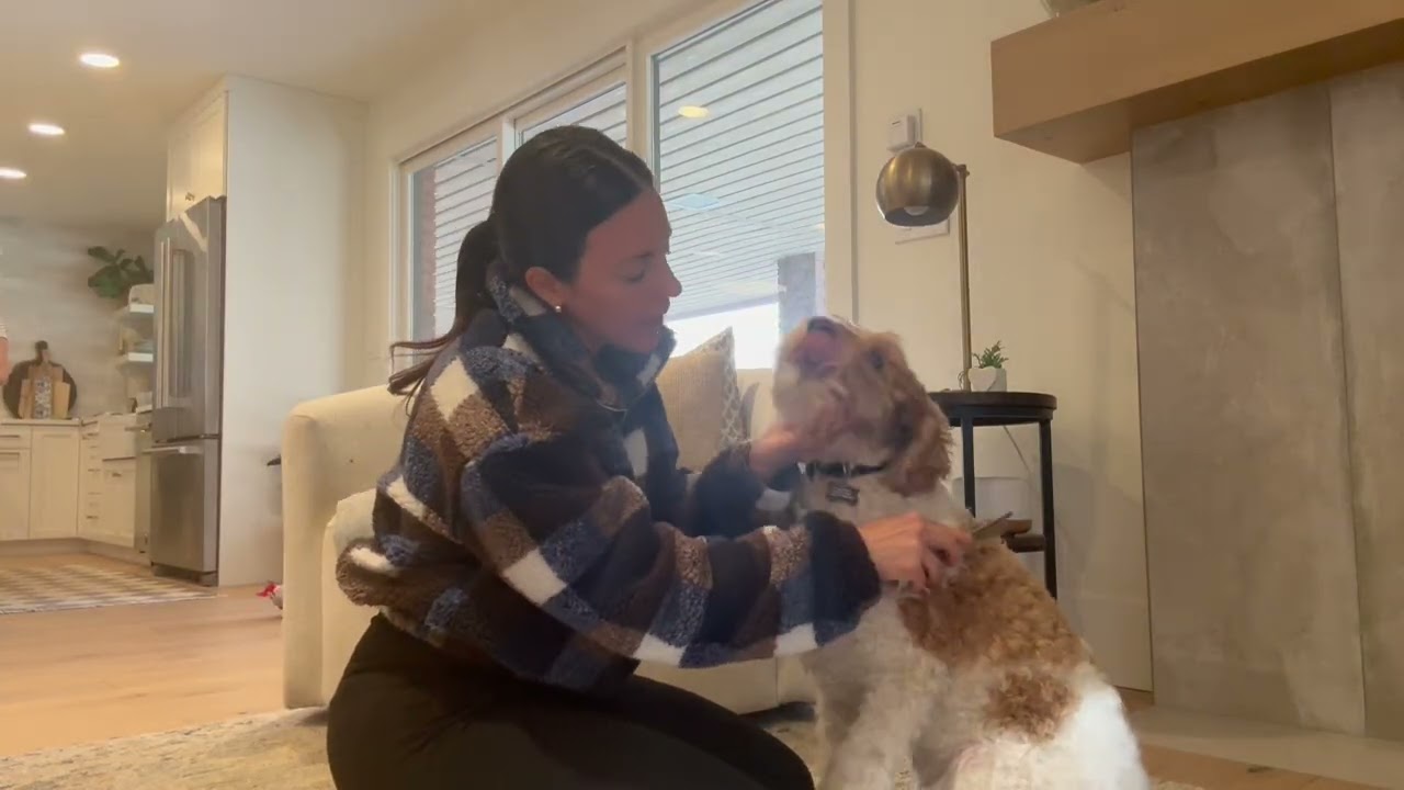 Is BioSilk Silk Therapy Conditioning Detangling Spray for Dogs worth it? | Amazon Review