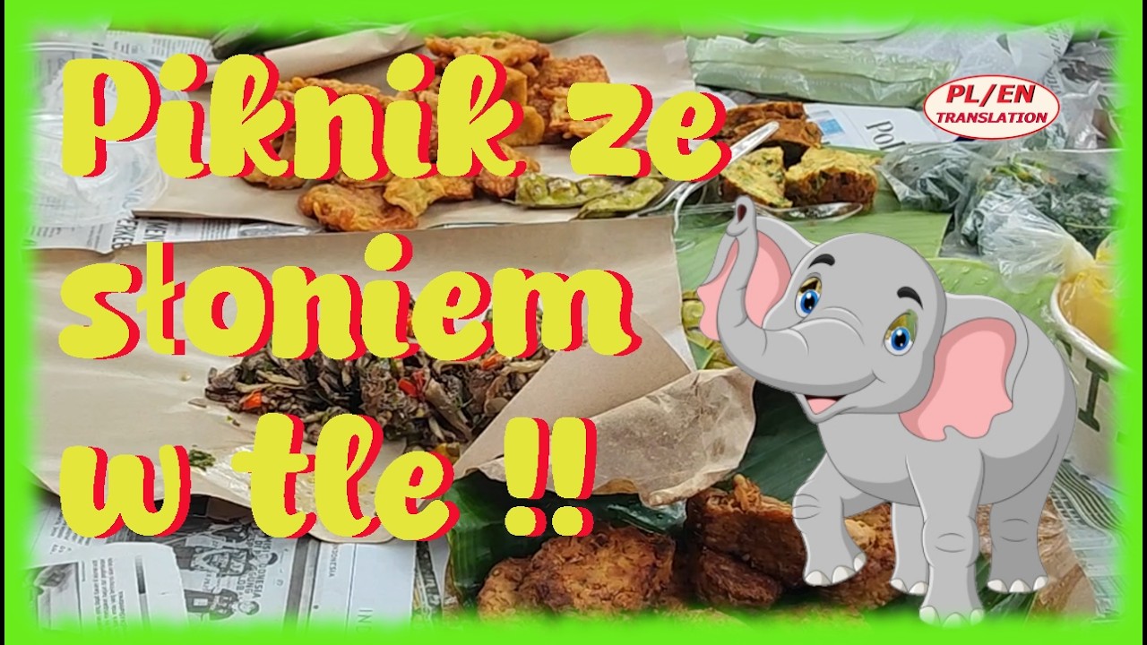 Piknik ze słoniem! Niezła wyżerka! Tysiące ludzi się na mnie patrzy! Nowa atrakcja!