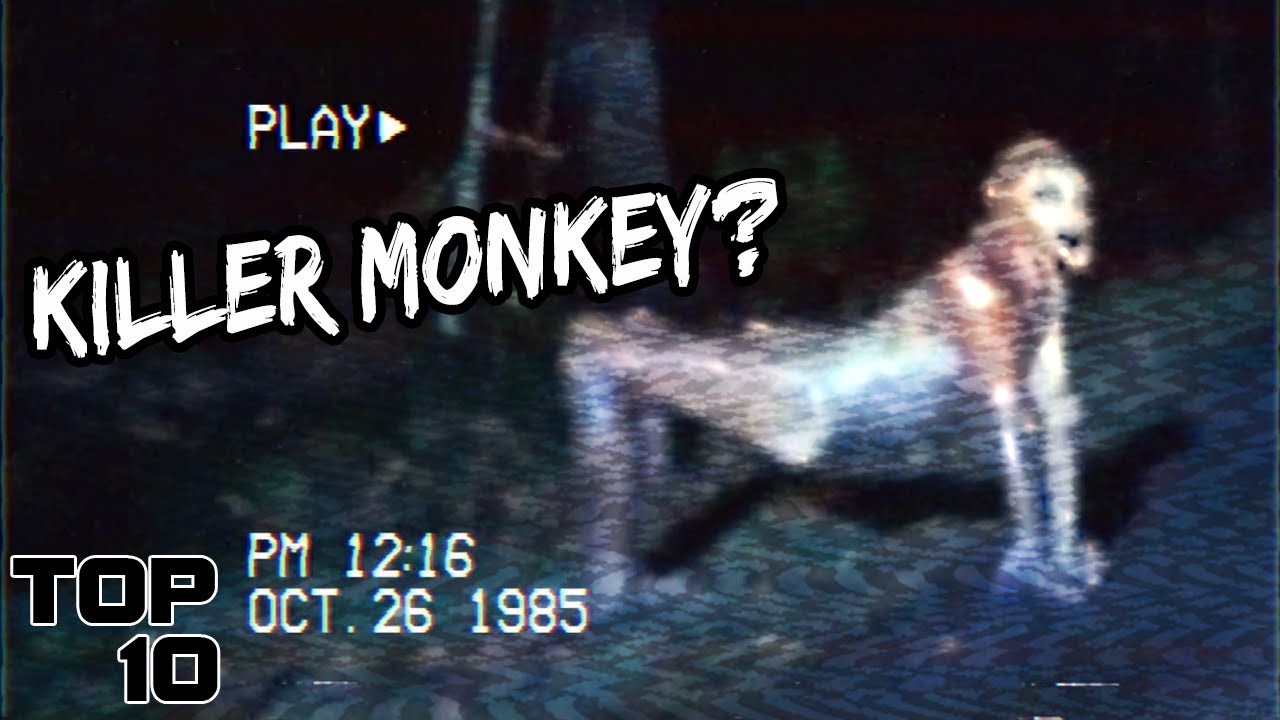 Top 10 Mysterious Creatures Caught On Tape