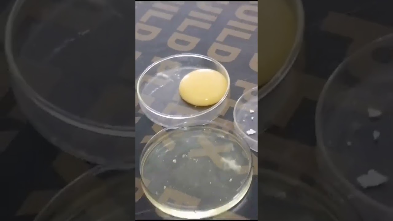 Bio system technology #🥚Egg practical#@CoComelon @