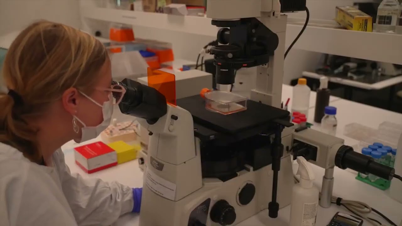 The Arto Hardy Family Biomedical Innovation Hub