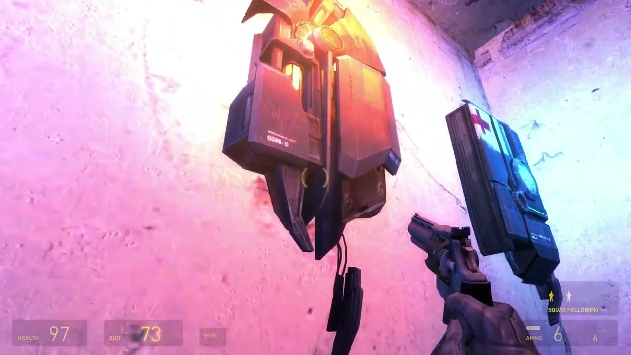 What Cat? (half-life 2)
