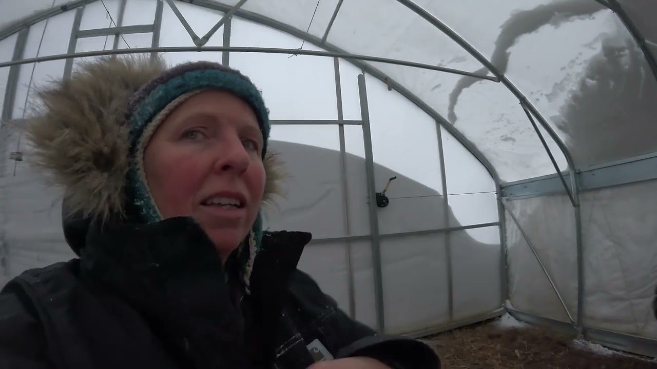 Historic Blizzard Hits Our Market Farm