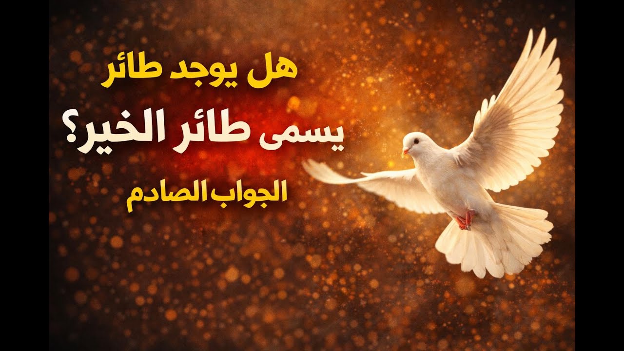 هل يوجد طائر يُسمّى طائر الخير؟ الجواب الصادم
