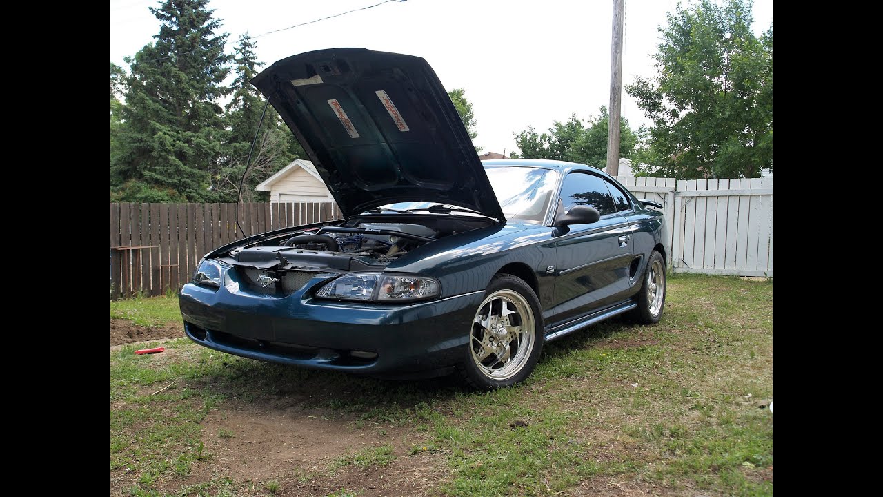 Cammed 1995 mustang gt at idle, E303 cam, Trick Flow intake and Heads, headers, H pipe, Flowmasters.