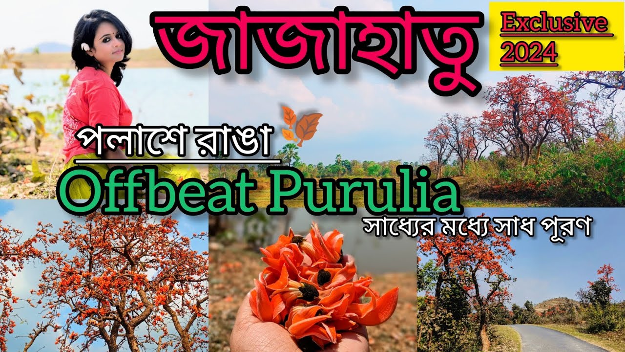 Jajahatu - Offbeat Purulia 2024 | এখানেই সবথেকে বেশি পলাশ দেখা যায় | এই গ্রামে দেখা মিলবে ময়ূরের |