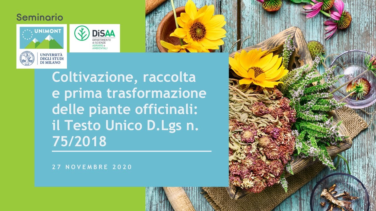 Coltivazione, raccolta e prima trasformazione delle piante officinali: Testo Unico D.Lgs n.75/2018