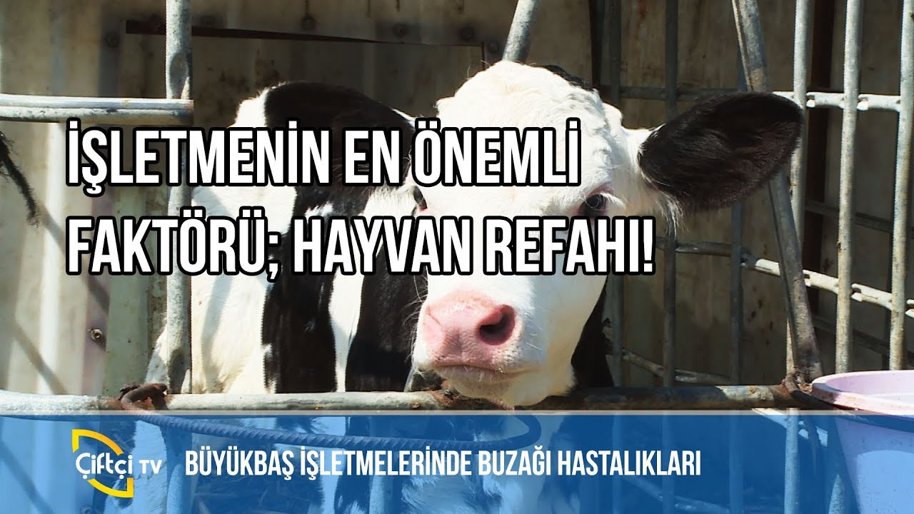 İşletmenin En Önemli Faktörü: Hayvan Refahı -BİLİNÇLİ HAYVANCILIK