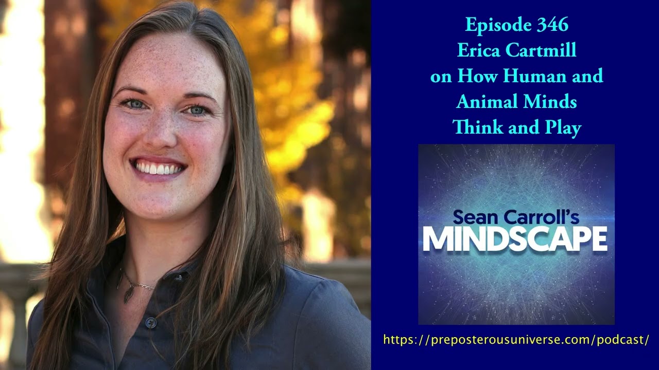 Erica Cartmill on How Human and Animal Minds Think and Play | Mindscape 346