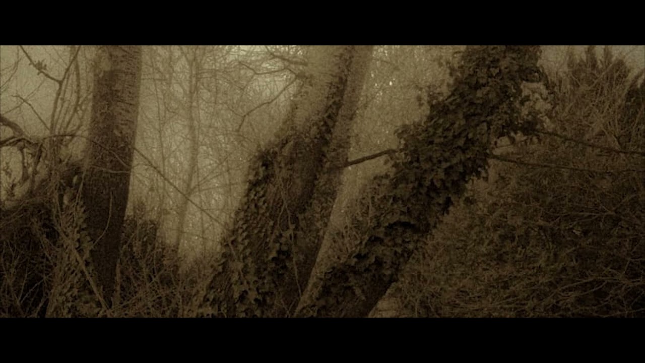 Max.S.P. - Lost In Woods (Original Mix)