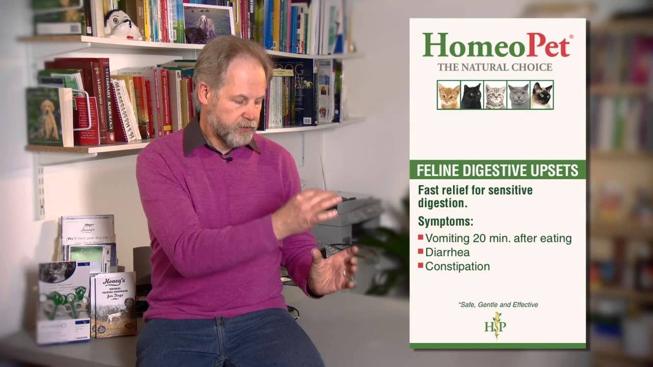 HomeoPet Feline Digestive Upsets