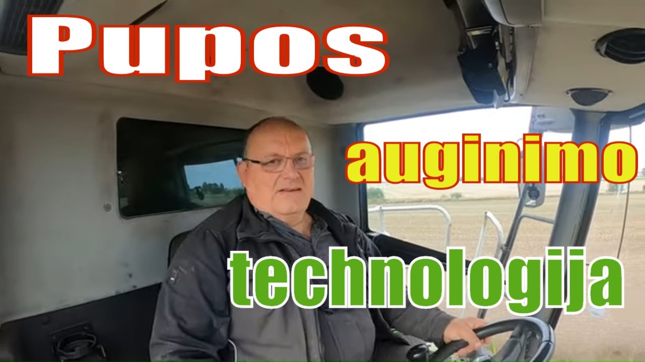 Mano pupų auginimo technologija no till