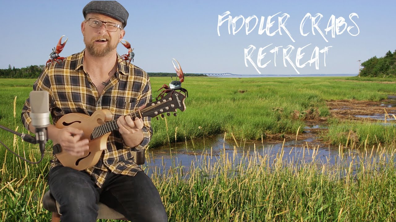 Captain Jason's Solo Acoustic Story Time Songs - Fiddler Crabs Retreat