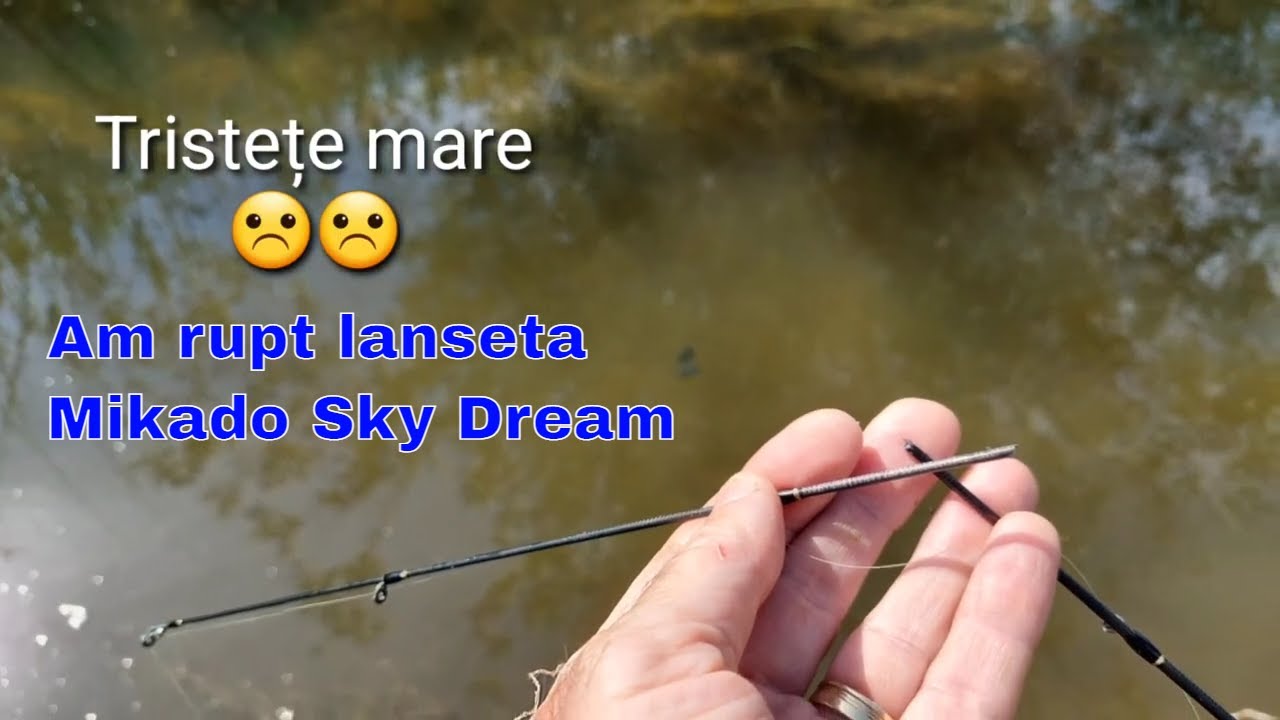 Am rupt lanseta Mikado Sky Dream.
