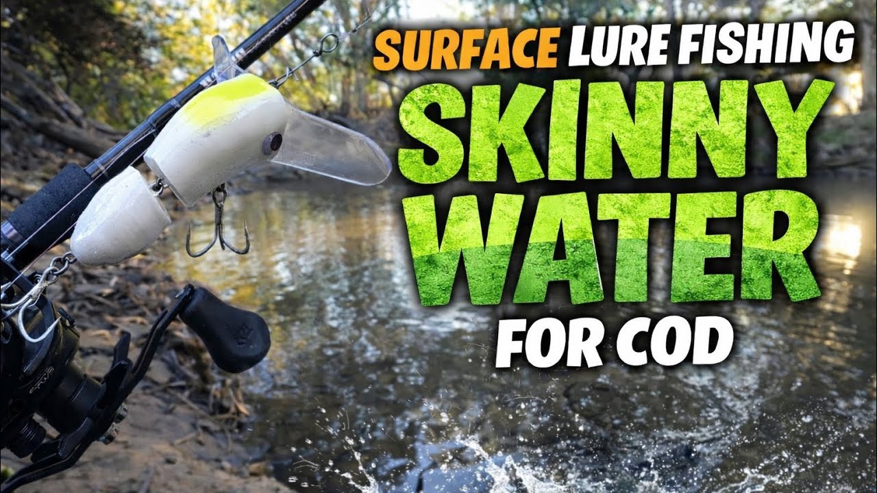 Skinny water surface cod - The grind is real!