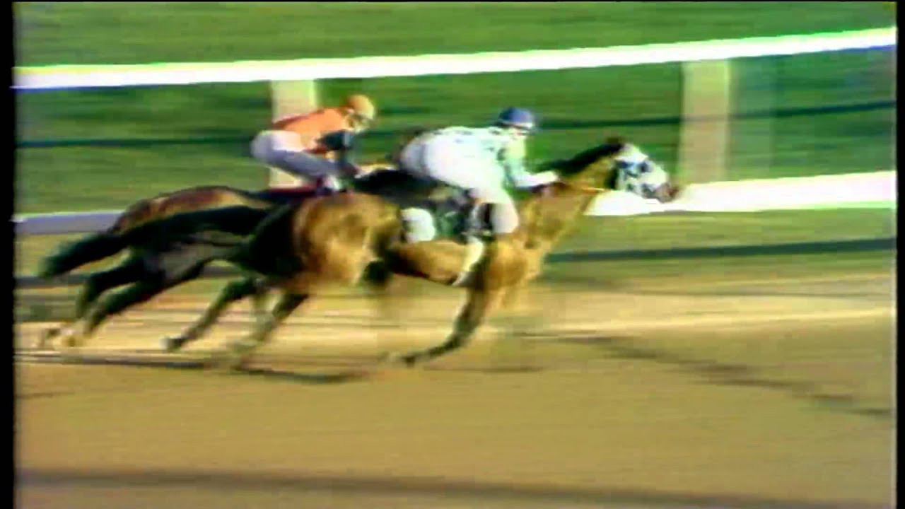 1973 JOCKEY CLUB GOLD CUP