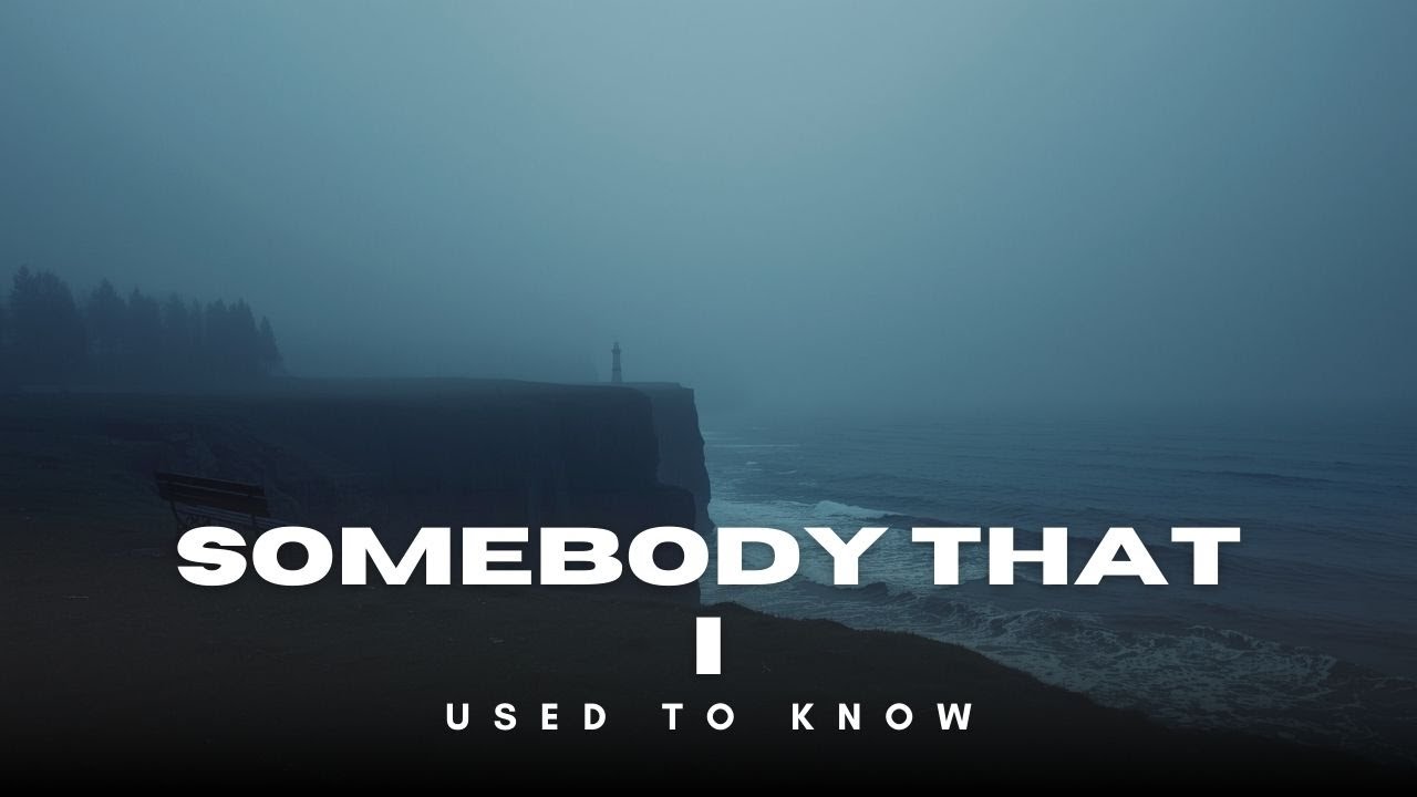 Somebody That I Used To Know - Cover | Melodic Dubstep | Lyrics Video | Gotye | SUNG33T
