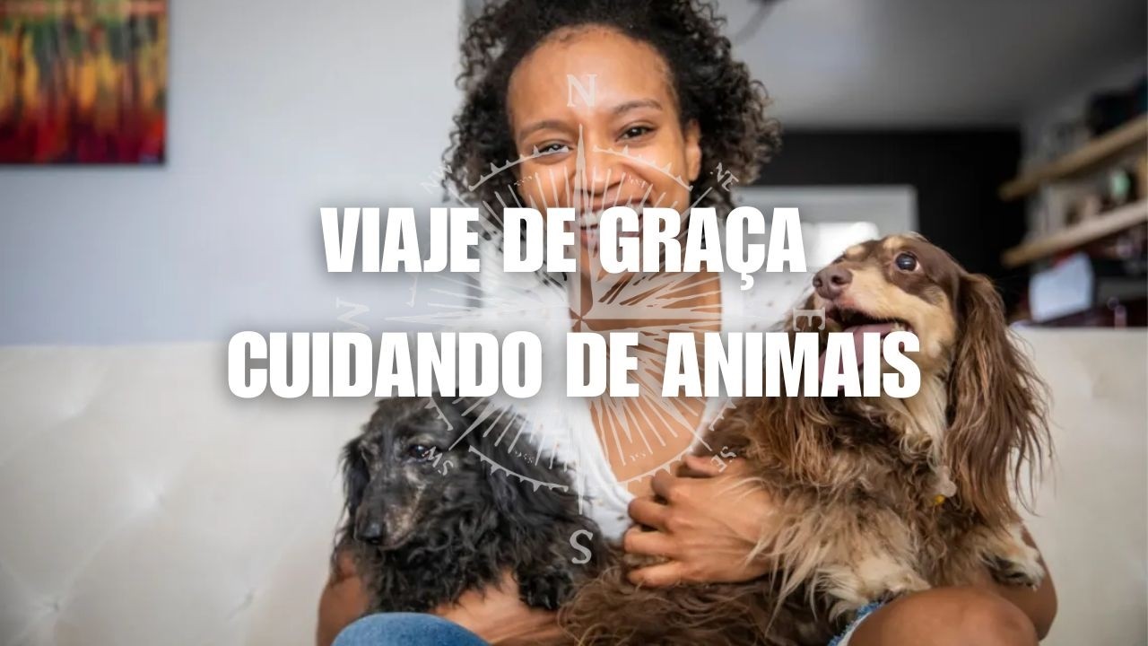 HOUSE SITTING: COMO SE HOSPEDAR DE GRAÇA CUIDANDO DE ANIMAIS