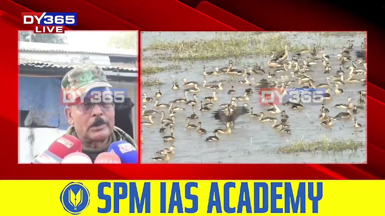 মাজুলীৰ বিভিন্ন জলাশয়ত দেখা পোৱা ভিন্ন পৰিভ্ৰমী চৰাই এতিয়া একাংশ দুষ্কৃতিকাৰীৰ কৱলত।