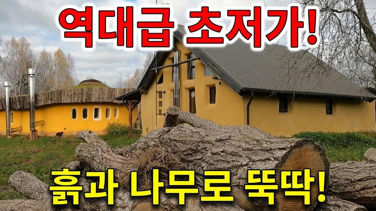 흙과 나뭇가지로 집 짓기? 자연 재료로 저렴하게 집 만드는 꿀팁 공개!