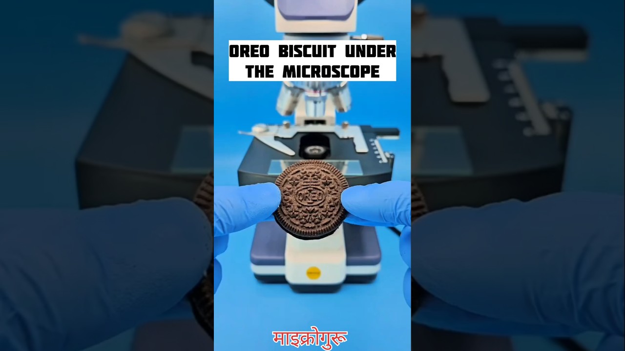 Oreo Biscuit Inside the Microscope 😱 #shorts #microscope #ytshorts