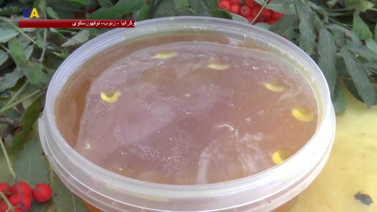 مهرجان للعسل البري في مقاطعة سومي الأوكرانية