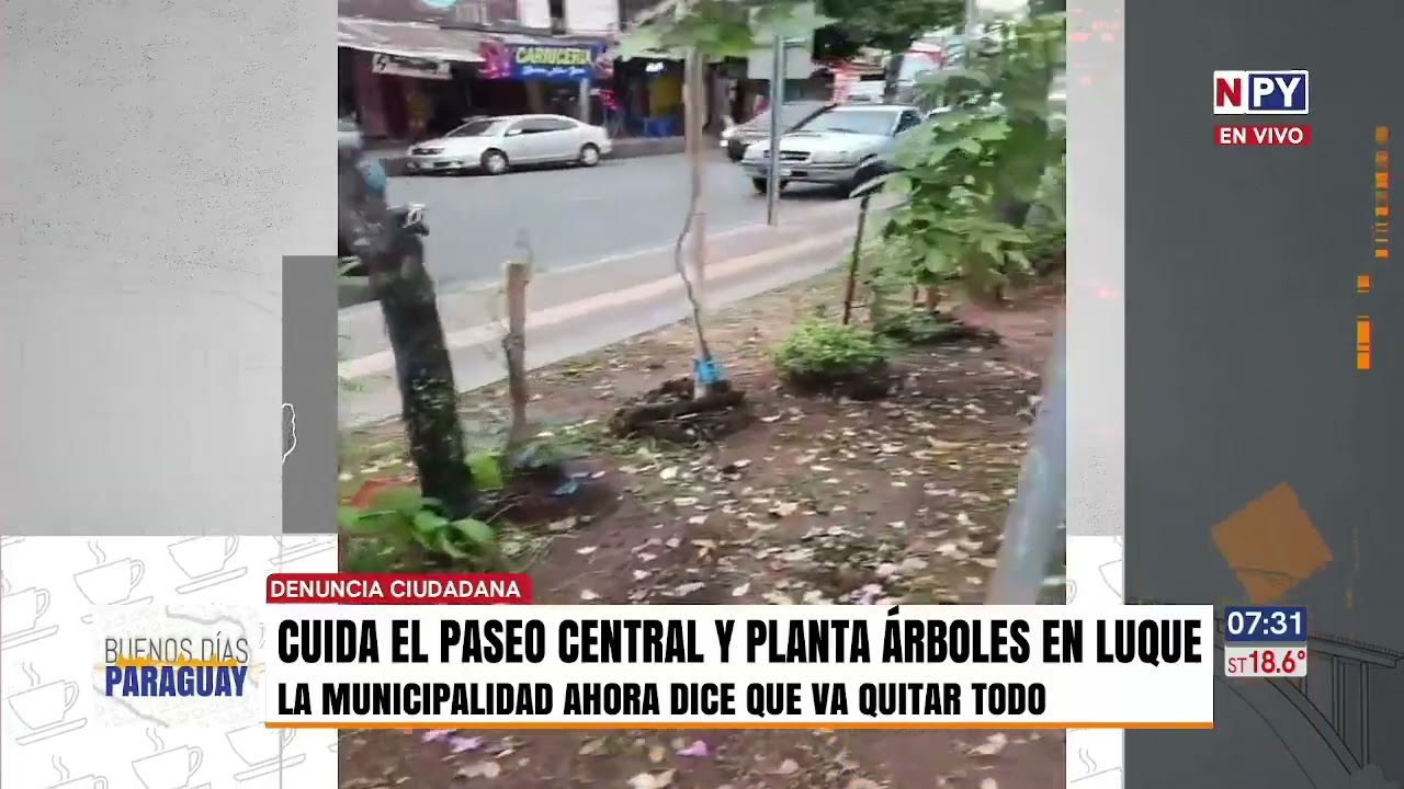 Ciudadana hermoseó una plaza reforestando y la Municipalidad de Luque pretende frustrar su trabajo
