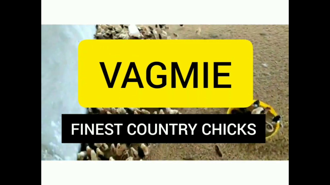 Country Chicken Chicks