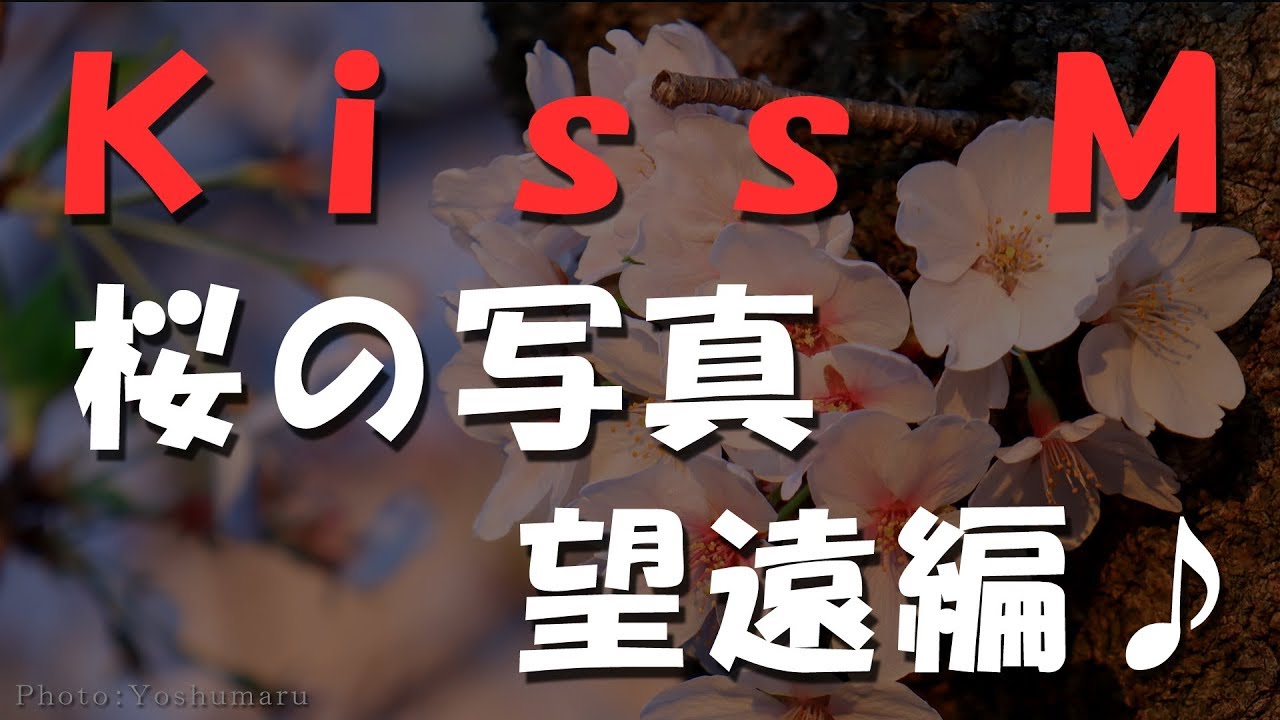 Canon EOS Kiss M　作例　桜のスライドショーその２