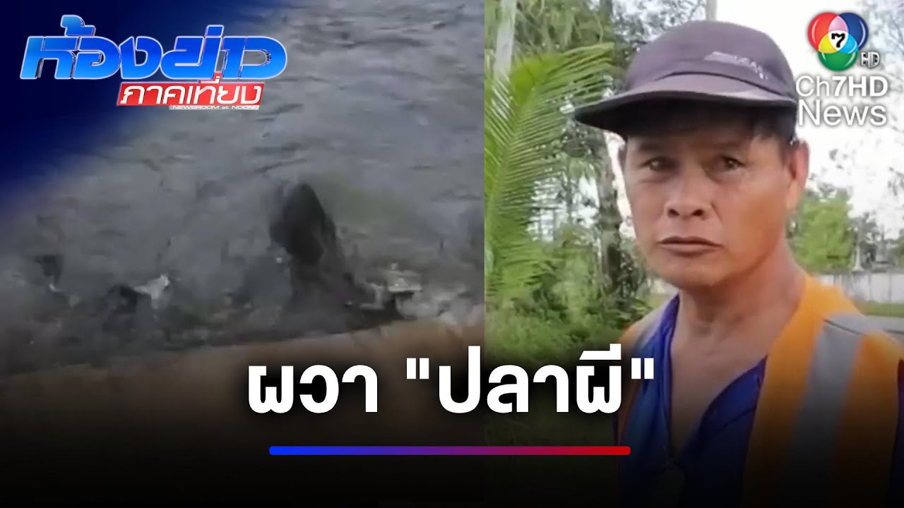 ผวา 