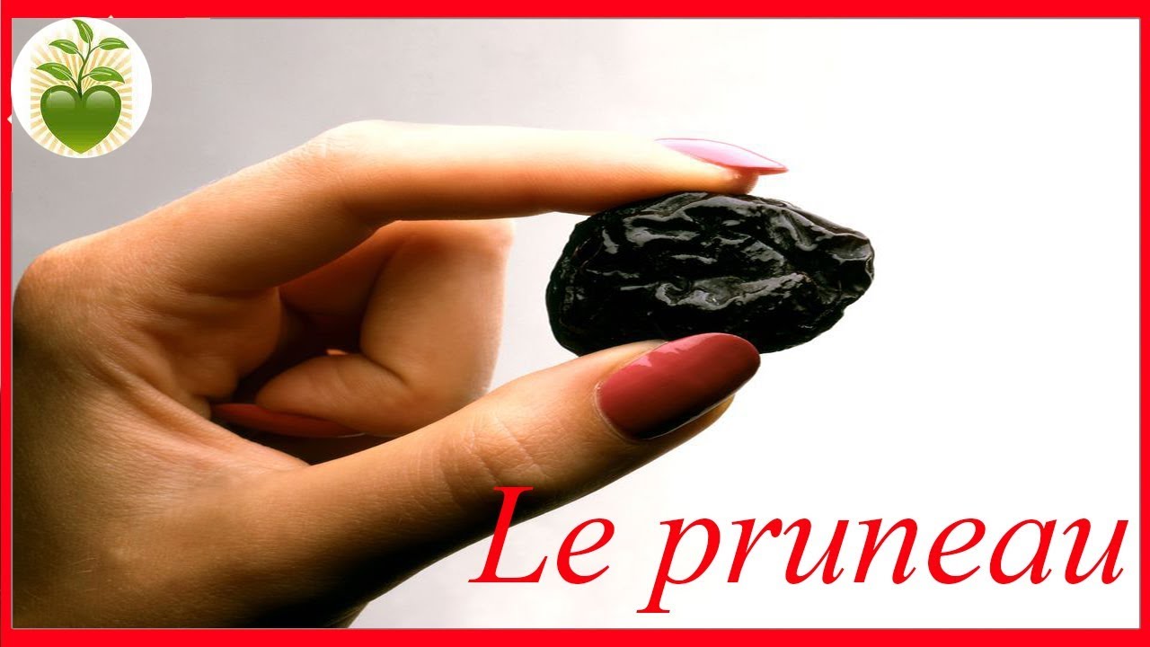 Le pruneau, un bon laxatif, mais aussi un champion antioxydant