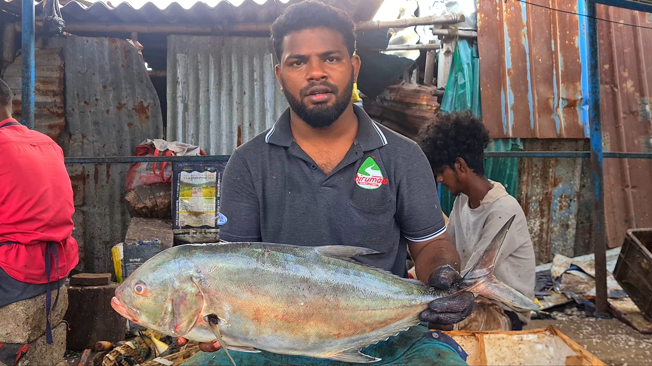 KASIMEDU FISH MARKET 🔥 TREVALLY FISH CUTTING 🔥  #kasimedufishmarketlatest #speedselvam