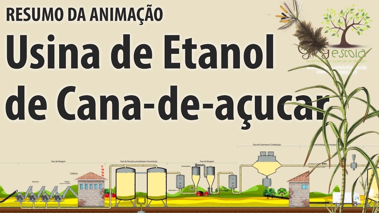 Como funciona a usina de cana de a&ccedil;&uacute;car