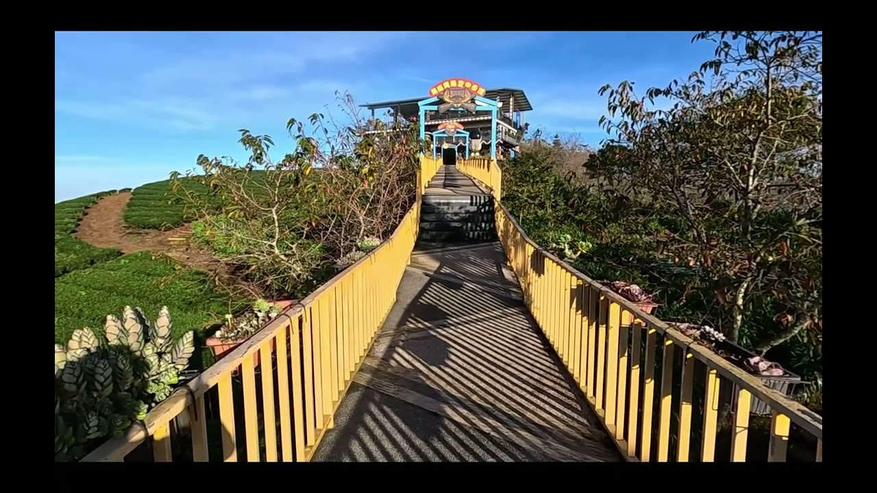 星中松年部武界靈修之旅（2）