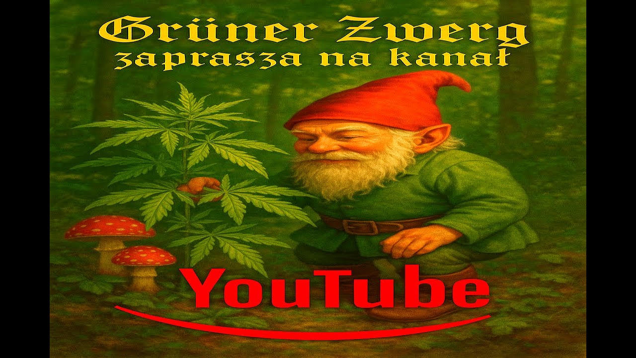 ODC.1 Cannabis sativa L. w rolnictwie&ndash;techniki i praktyczne wskaz&oacute;wki. Namaczanie pestek w wodzie #1