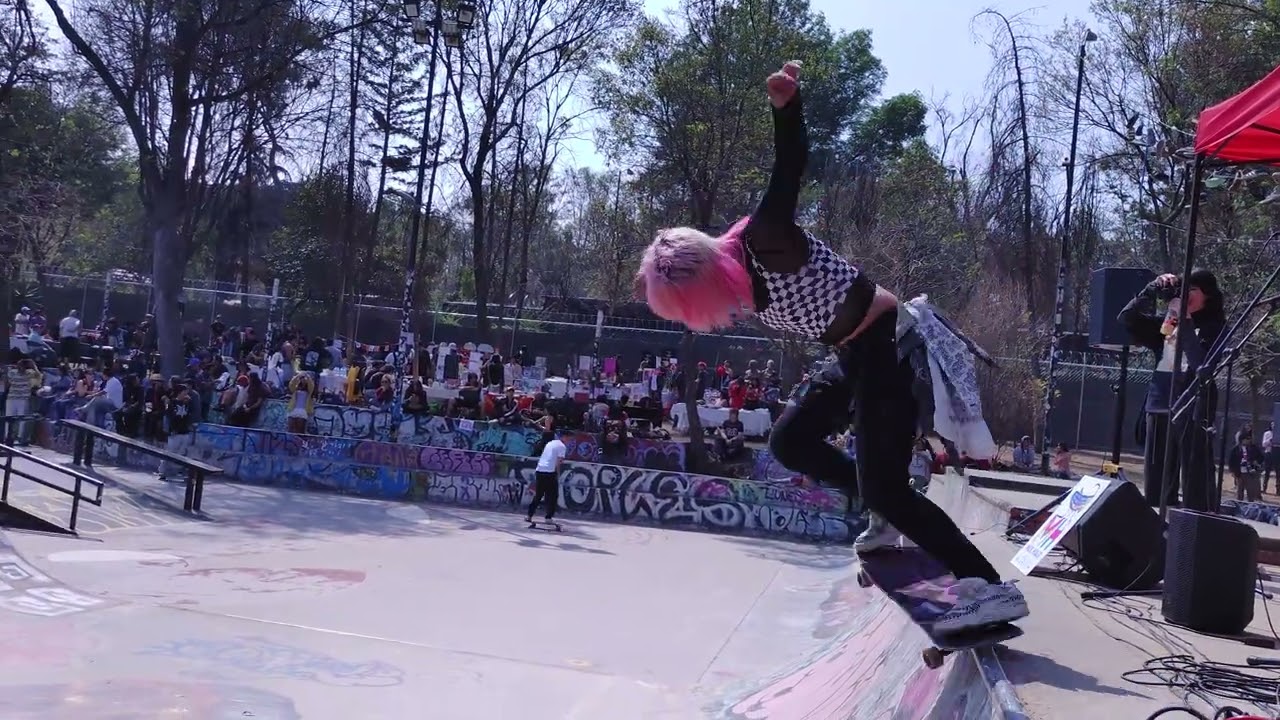 Skateboard #parquelira #patinart3