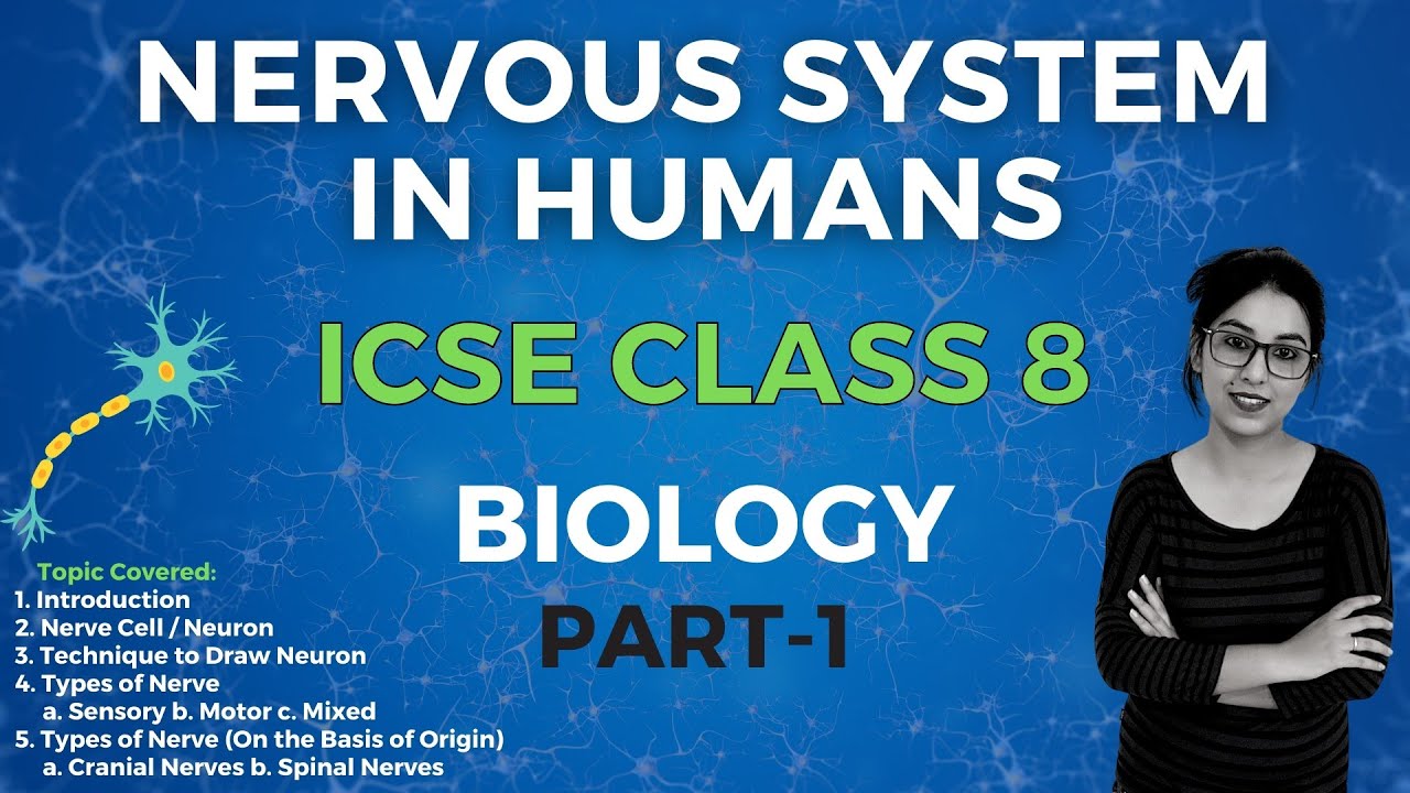 Nervous System in Humans | ICSE CLASS 8 Biology | Part - 1