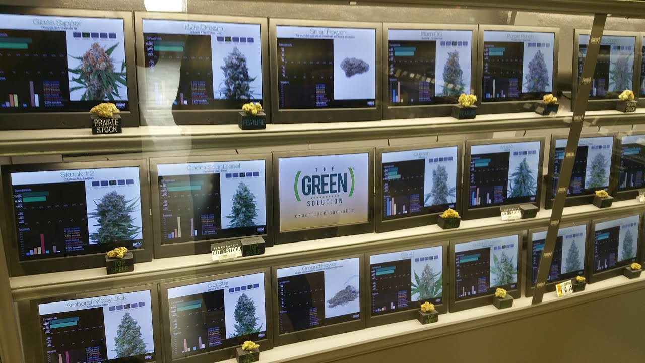 New Dispensary Tour!!!! The Green Solution in Aurora