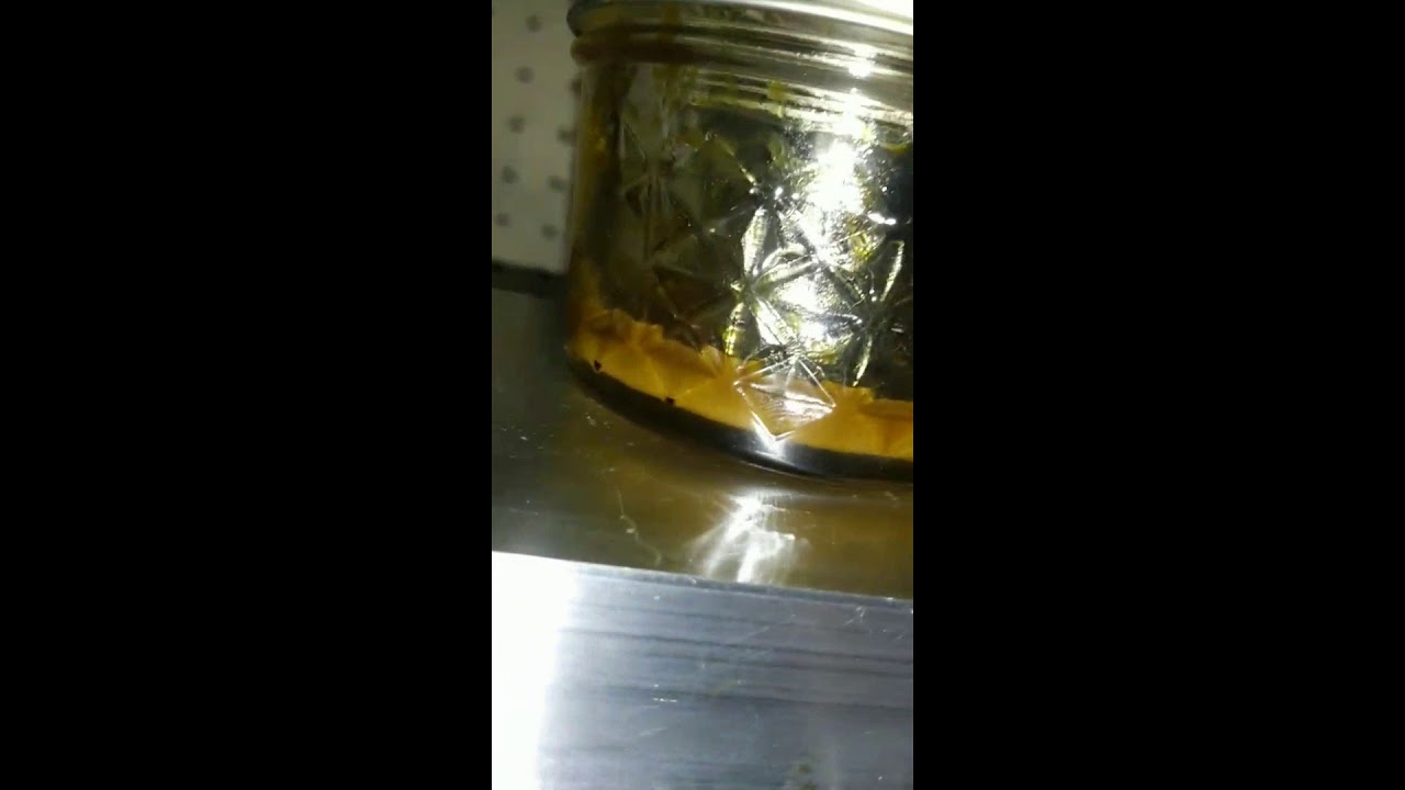 Rosin Jam (ICC)