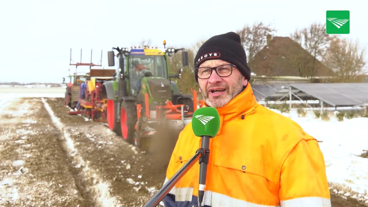 Waspeen rooien in de sneeuw