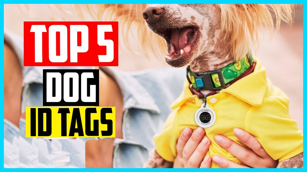 ✅ Top 5 Best dog id tags in 2024